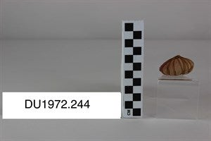 Image description is not available for DU1972.244